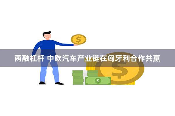 两融杠杆 中欧汽车产业链在匈牙利合作共赢