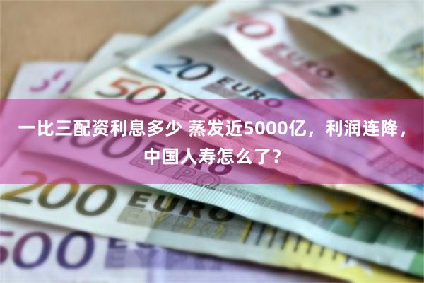 一比三配资利息多少 蒸发近5000亿，利润连降，中国人寿怎么了？