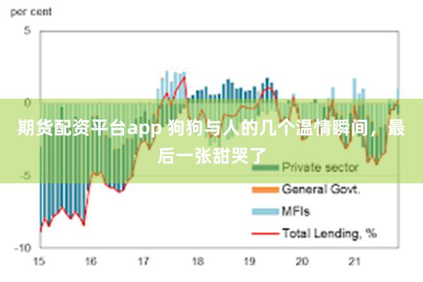 期货配资平台app 狗狗与人的几个温情瞬间，最后一张甜哭了