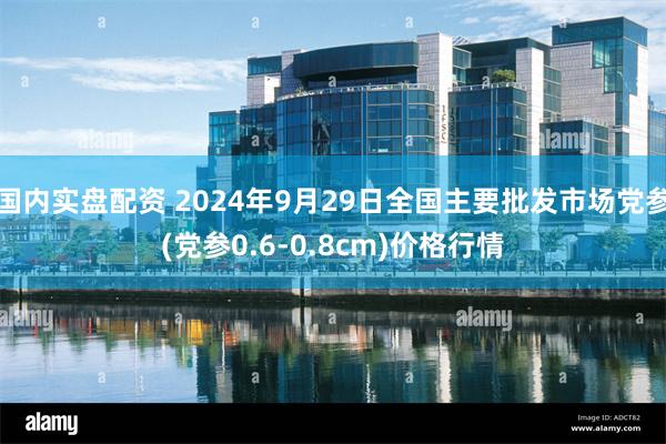 国内实盘配资 2024年9月29日全国主要批发市场党参(党参0.6-0.8cm)价格行情