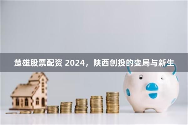 楚雄股票配资 2024，陕西创投的变局与新生