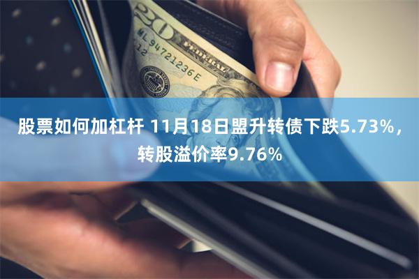 股票如何加杠杆 11月18日盟升转债下跌5.73%，转股溢价率9.76%