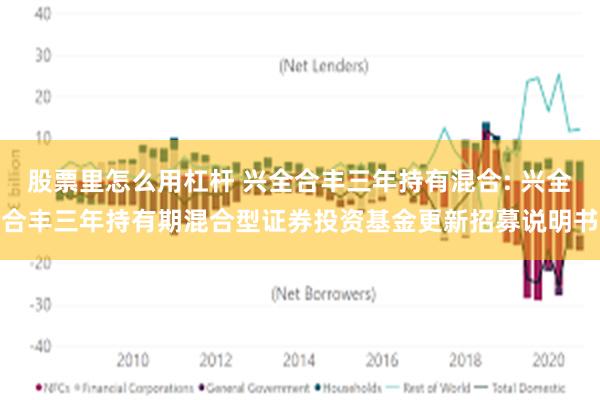 股票里怎么用杠杆 兴全合丰三年持有混合: 兴全合丰三年持有期混合型证券投资基金更新招募说明书