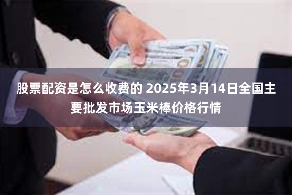 股票配资是怎么收费的 2025年3月14日全国主要批发市场玉米棒价格行情