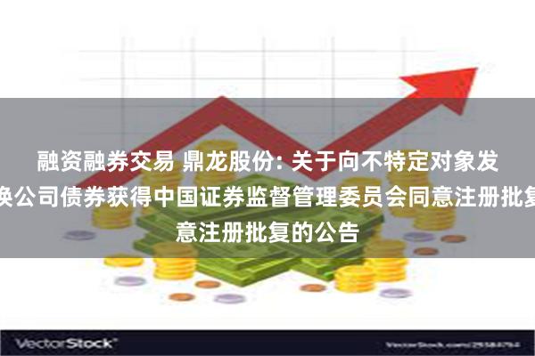 融资融券交易 鼎龙股份: 关于向不特定对象发行可转换公司债券获得中国证券监督管理委员会同意注册批复的公告